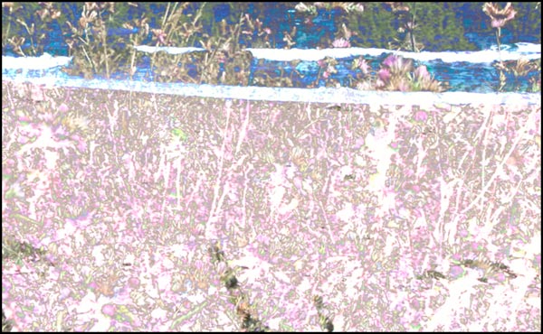 Welcome Matting: Simultaneous Opposites #61 by Robert Edgar