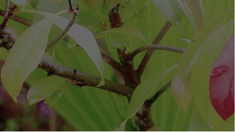 Filmmaking Page 001 by Robert Edgar