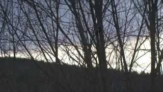 As It Is by David Wilde