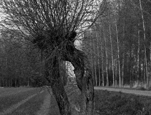 The Sadness Will Not Last Forever by Alexei Dmitriev